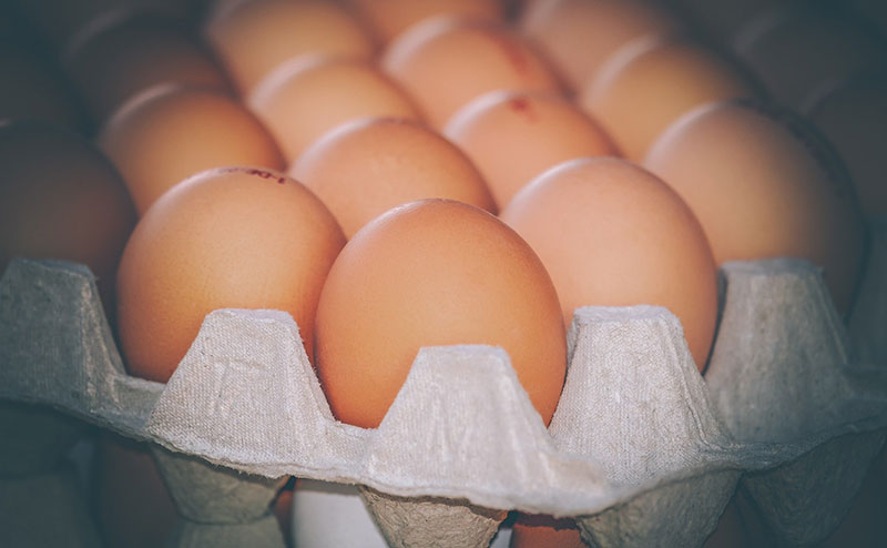 fornecedores de ovos para revender
