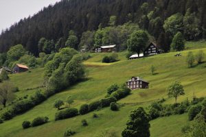 como ganhar dinheiro com terra?