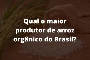 Qual o maior produtor de arroz orgânico do Brasil